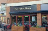 The Furze Wren